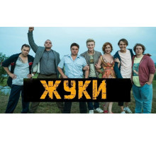 Жуки2019-2024
