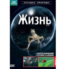 BBC: Жизнь   (2009)