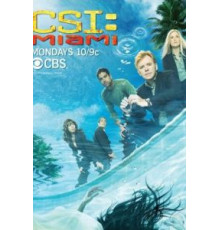 C.S.I.: Майами 0   (2002)