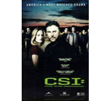 C.S.I. Место преступления    (2000)