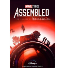 Marvel Studios: В сборе (Студия Марвел: Общий сбор)    (2021)