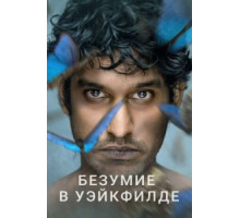 Безумие в Уэйкфилде   (2021)