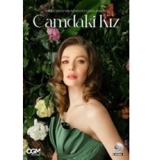Девушка за стеклом    (2021)