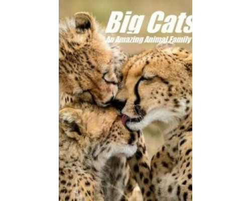 Кошки: Удивительная звериная семейка    