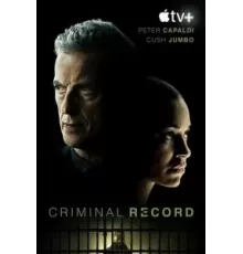 Криминальное прошлое   (2024)