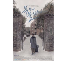 Мой странный герой   (2018)