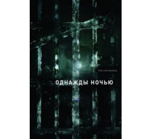 Однажды ночью   (2016)