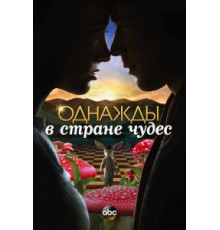 Однажды в стране чудес   (2013)