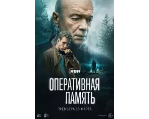 Оперативная память Оперативная память