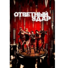 Ответный удар 8   (2010)