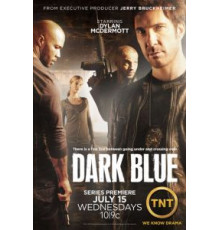 Под прикрытием    (2009)