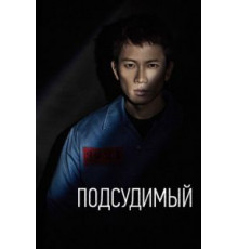 Подсудимый   (2017)