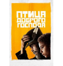 Птица доброго господа  (2020)