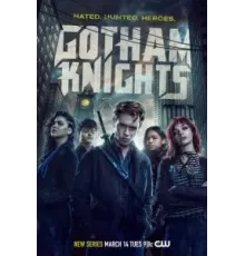 Рыцари Готэма   (2023)