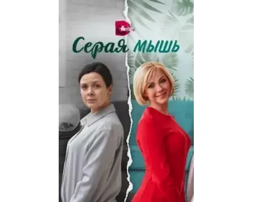 Серая мышь Серая мышь