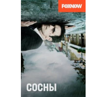 Сосны    (2015)