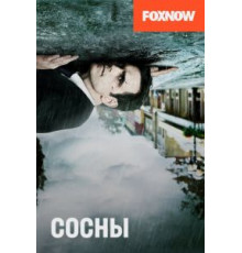 Сосны    (2015)