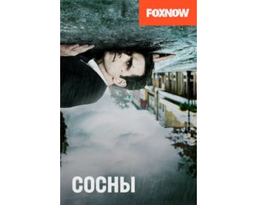 Сосны Сосны