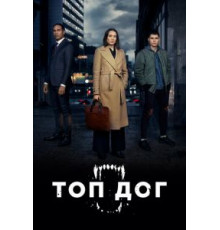 Топ дог    (2020)