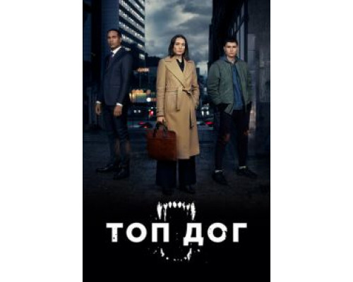 Топ дог     