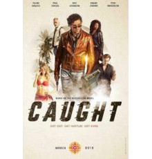 В западне   (2018)